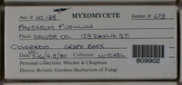 Image Associated With the Occurence